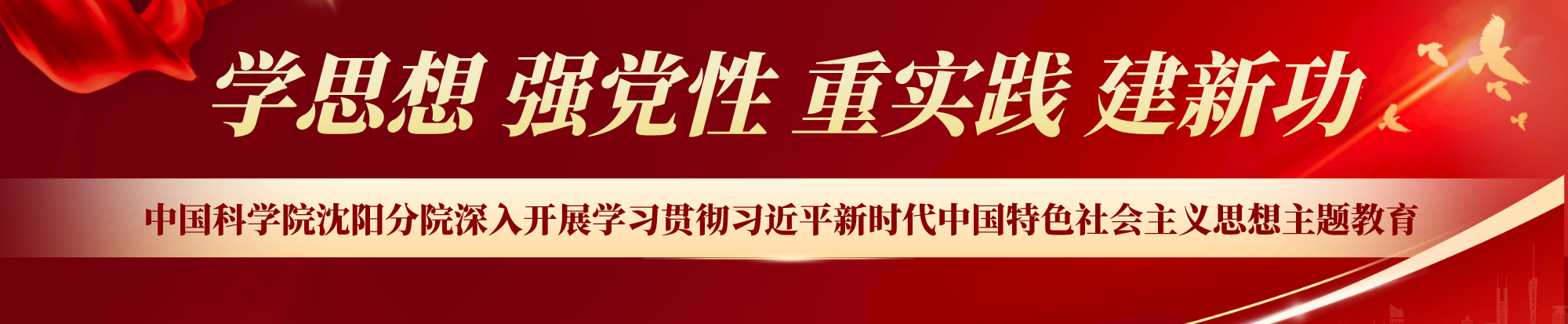 深入開(kāi)展學(xué)習(xí)貫徹習(xí)近平新時(shí)代中國(guó)特色社會(huì)主義思想主題教育